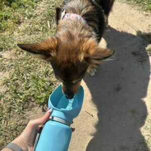 Silikonowa butelka dla psa