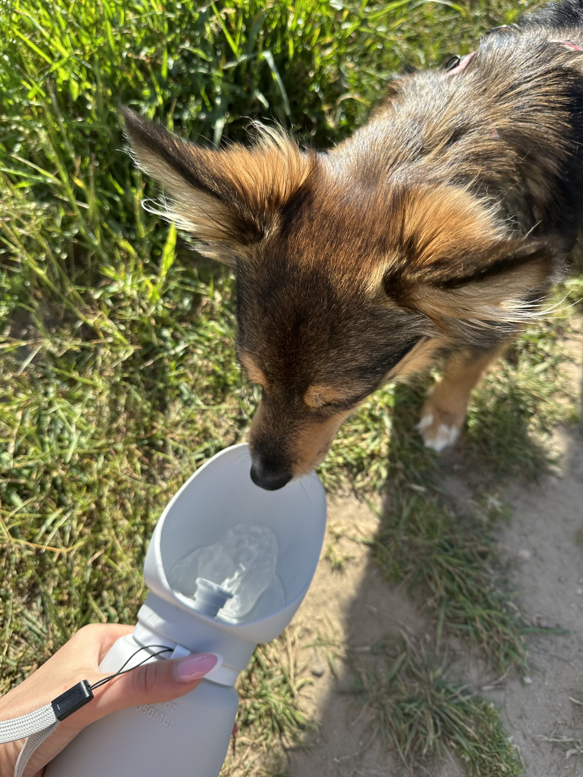 Silikonowa butelka dla psa - obrazek 6